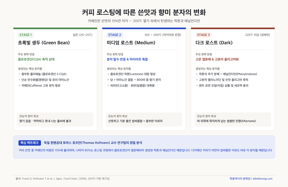 커피 로스팅에 따른 쓴맛과 향미 분자의 변화