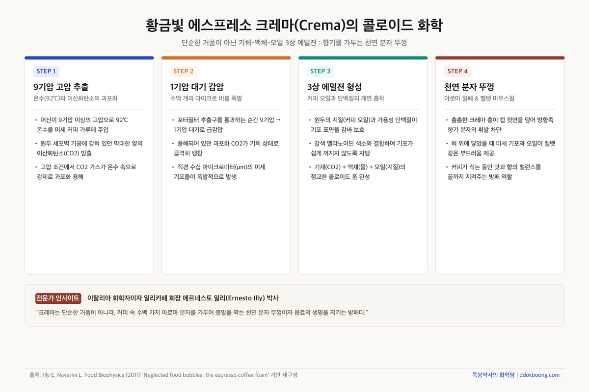 황금빛 에스프레소 크레마(Crema)의 콜로이드 화학: 기체-액체-오일 3상 에멀젼 폼