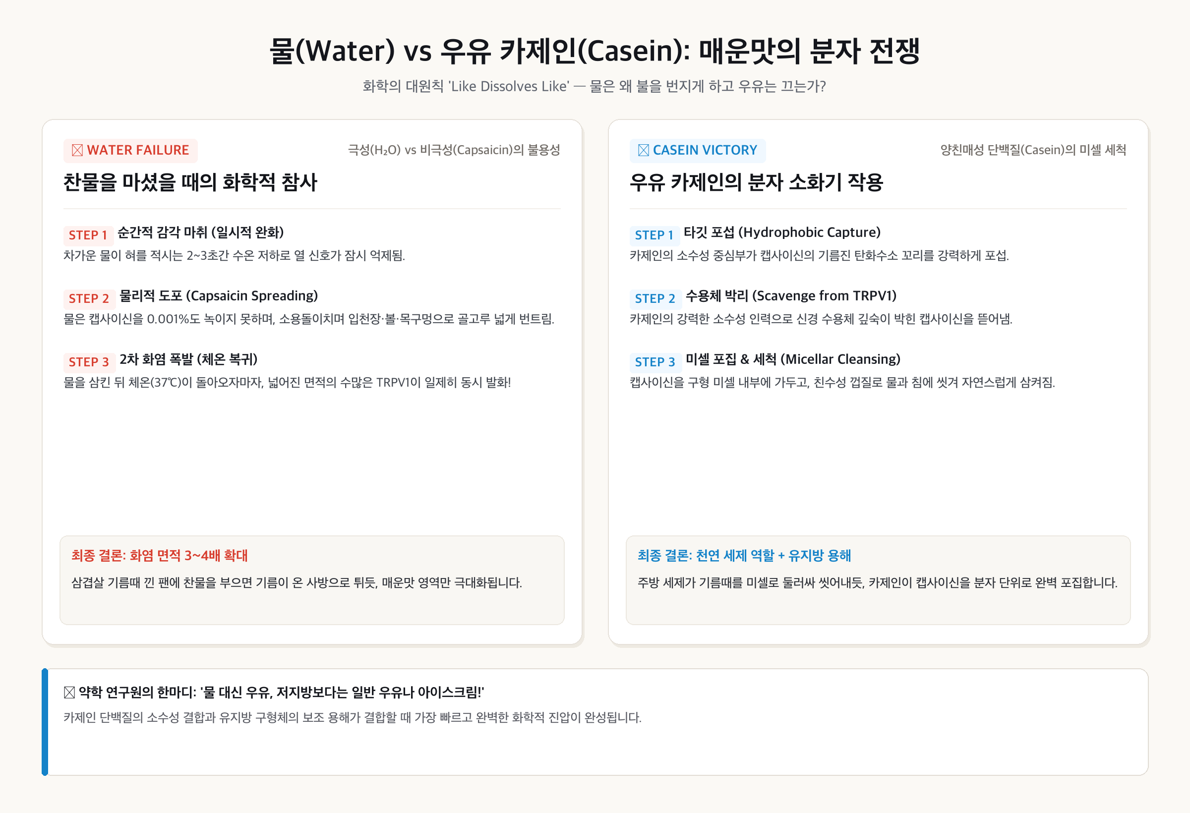 물 vs 우유 카제인의 매운맛 분자 전쟁 메커니즘
