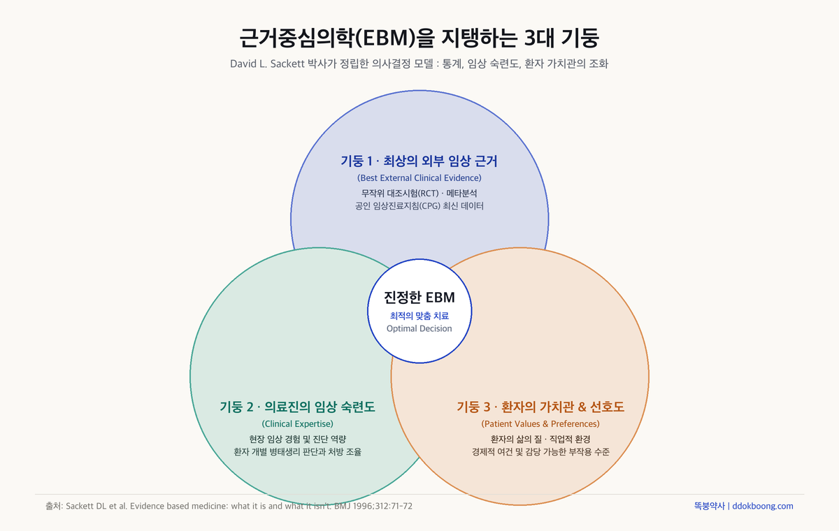 근거중심의학(EBM)을 지탱하는 3대 기둥: 데이터, 임상 숙련도, 환자 가치관의 조화