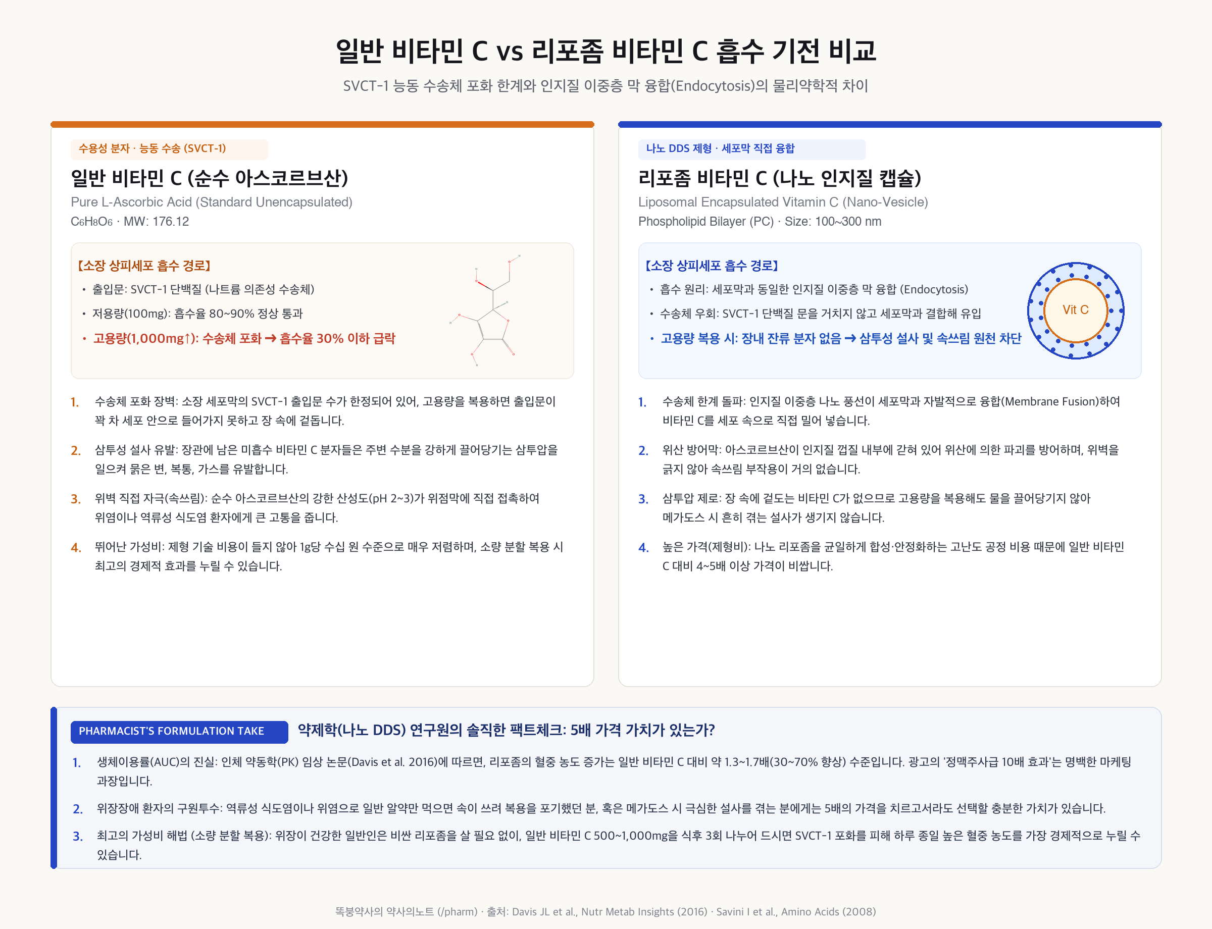 일반 비타민 C의 SVCT-1 수송체 포화 한계 vs 리포좀 비타민 C의 인지질 이중층 막 융합 흡수 비교 도해